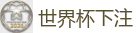 2026 FIFA 世界杯(下注)官方中文站